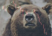How to Act in a Bear Market? Everything You Need to Know