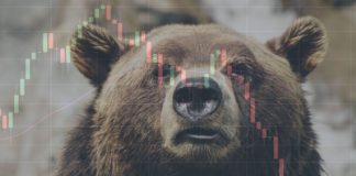 How to Act in a Bear Market? Everything You Need to Know