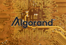 Algorand Develops Quantum-Proof Technology Named Falcon