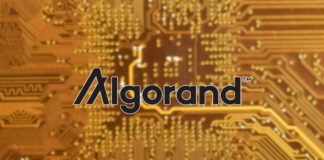 Algorand Develops Quantum-Proof Technology Named Falcon