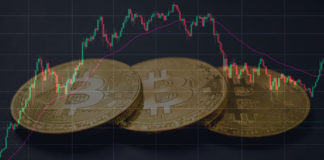 Bitcoin Slides 13% from August Highs, will BTC Hold Above $20.7k?