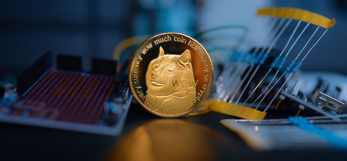 Dogecoin (DOGE) Price Prediction 2022-2025 – Will Elon Musk Continue Supporting DOGE?