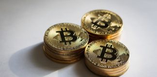 Bitcoin Sees a Brief Rally Before Plunging Below $24K
