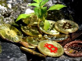 Vespene Energy Closes $4.3 Million Capital Round to Facilitate Bitcoin Mining
