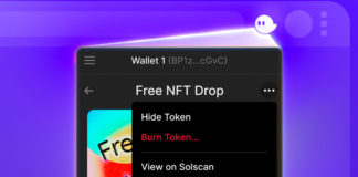 Phantom Wallet Allows Burning of Unwanted NFTs
