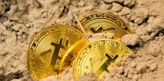 Nature Research: Bitcoin to Digital Crude, not Digital Gold