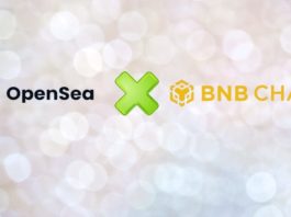 bnb open sea