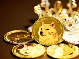 DOGE Touches the 10 Cents Mark Amid Twitter Payment Speculation. What is Next for the Meme Coin?