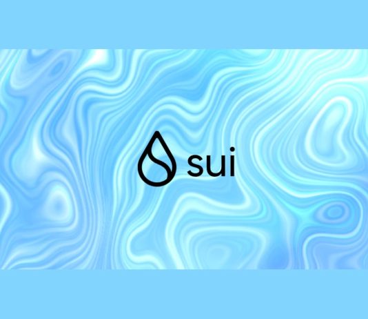 What is SUI Blockchain and What makes it so special for investors?