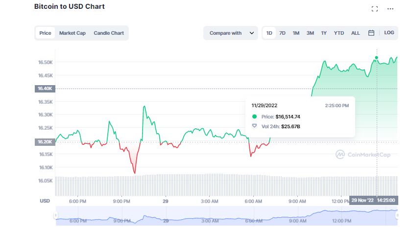 Crypto Market Enjoys Significant Gains Despite BlockFi Filling for Bankruptcy