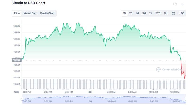 Crypto Market Struggles On the Last Working Day of the Year