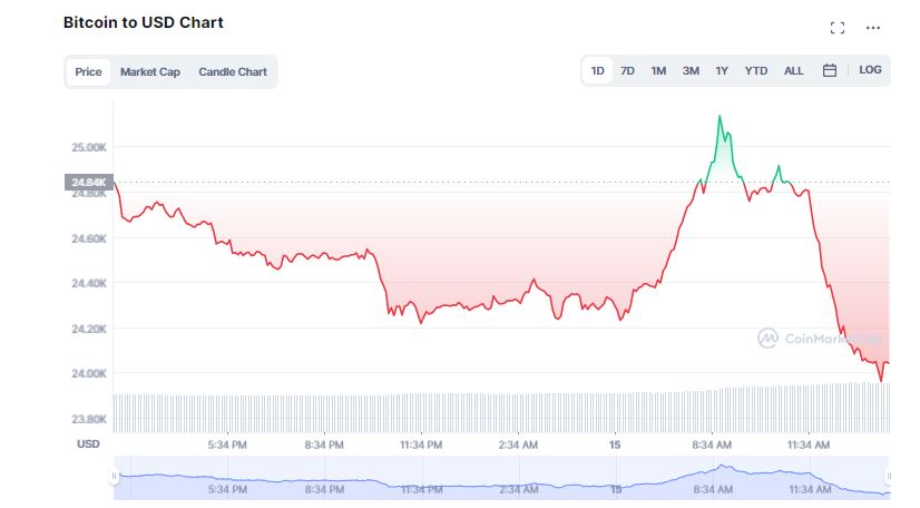 Bitcoin Sees a Brief Rally Before Plunging Below $24K