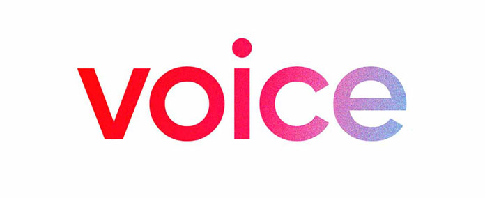 voice social networks
