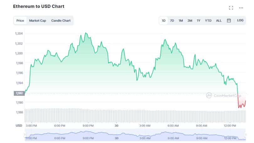 Crypto Market Struggles On the Last Working Day of the Year