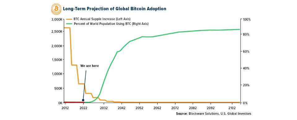 Market Analysts Bullish on Bitcoin; Will BTC Reach $100,000 by 2025?