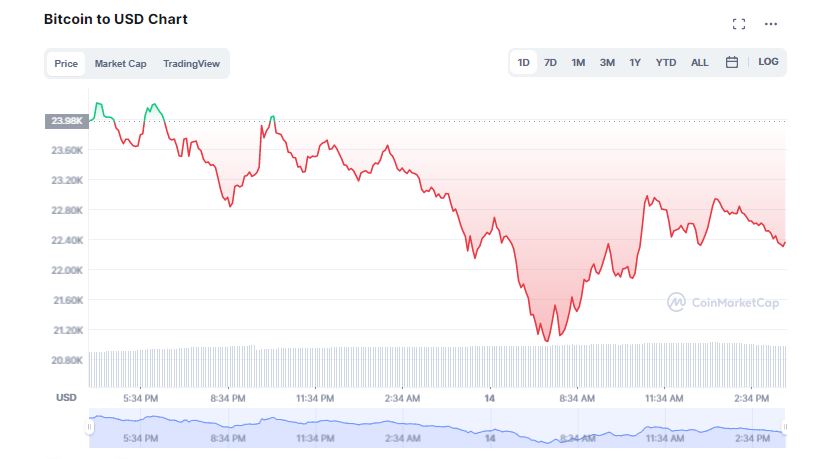 Bitcoin Dips to Multi-year Low; Is Crypto Winter Real?