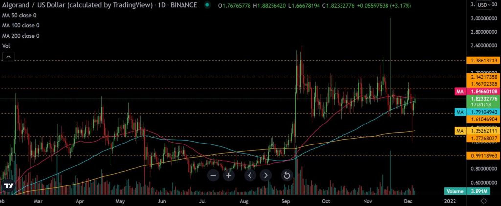 Will Algorand [ALGO] break free from sloppy price action?