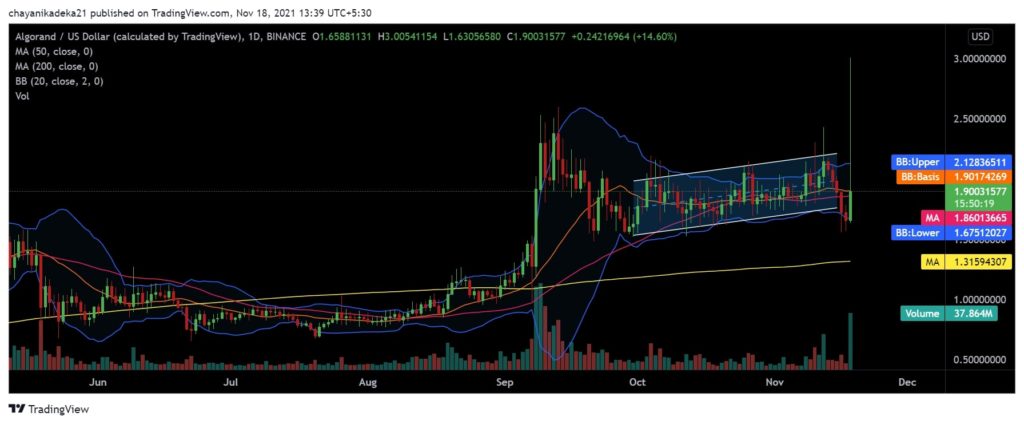 Algorand [ALGO] Records 15% Gains; But There's More For Investors