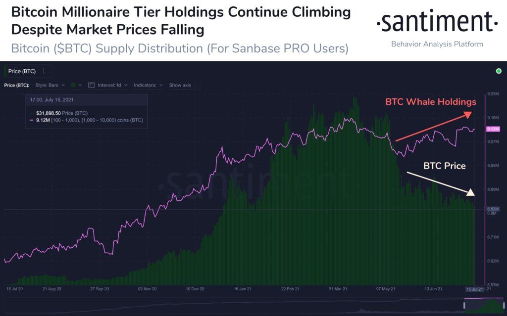 Here's what Bitcoin's "millionaire tier" of addresses are doing