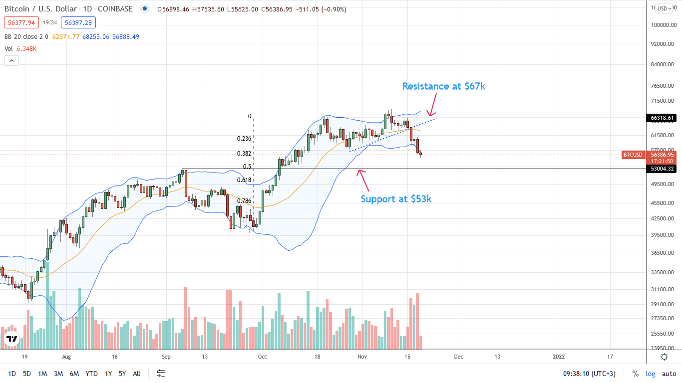 Bitcoin Daily Chart for November 19