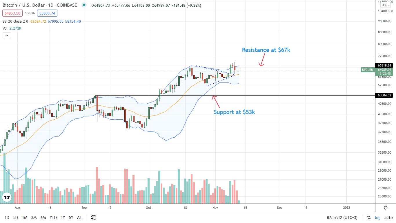 Bitcoin Daily Price Chart for November 12