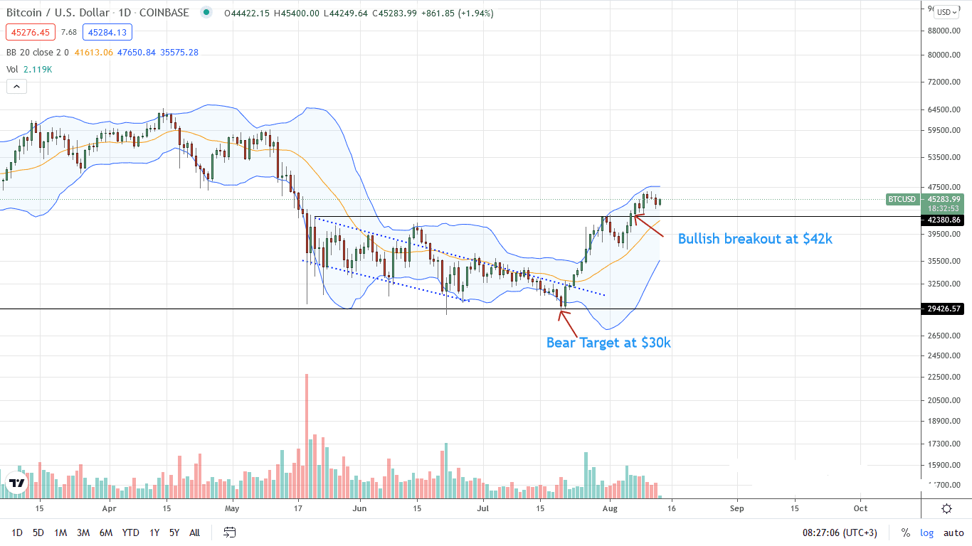 Bitcoin Price Daily Chart for Aug 13