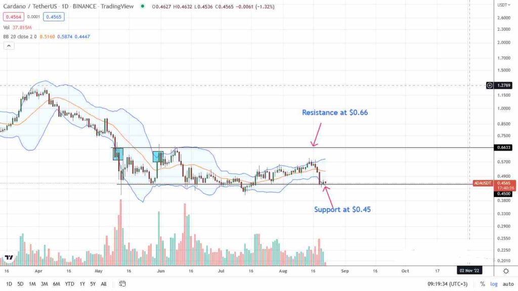 Cardano Slumps 19%, but ADA is Above $0.45, a Key Support Line