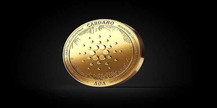 vasil update cardano