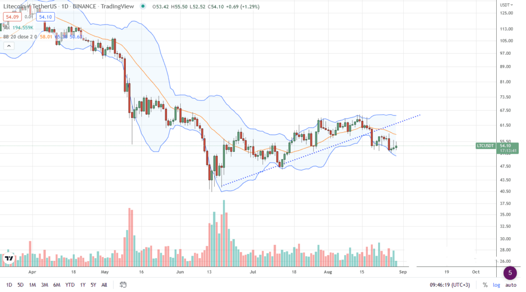 Litecoin Price Analysis