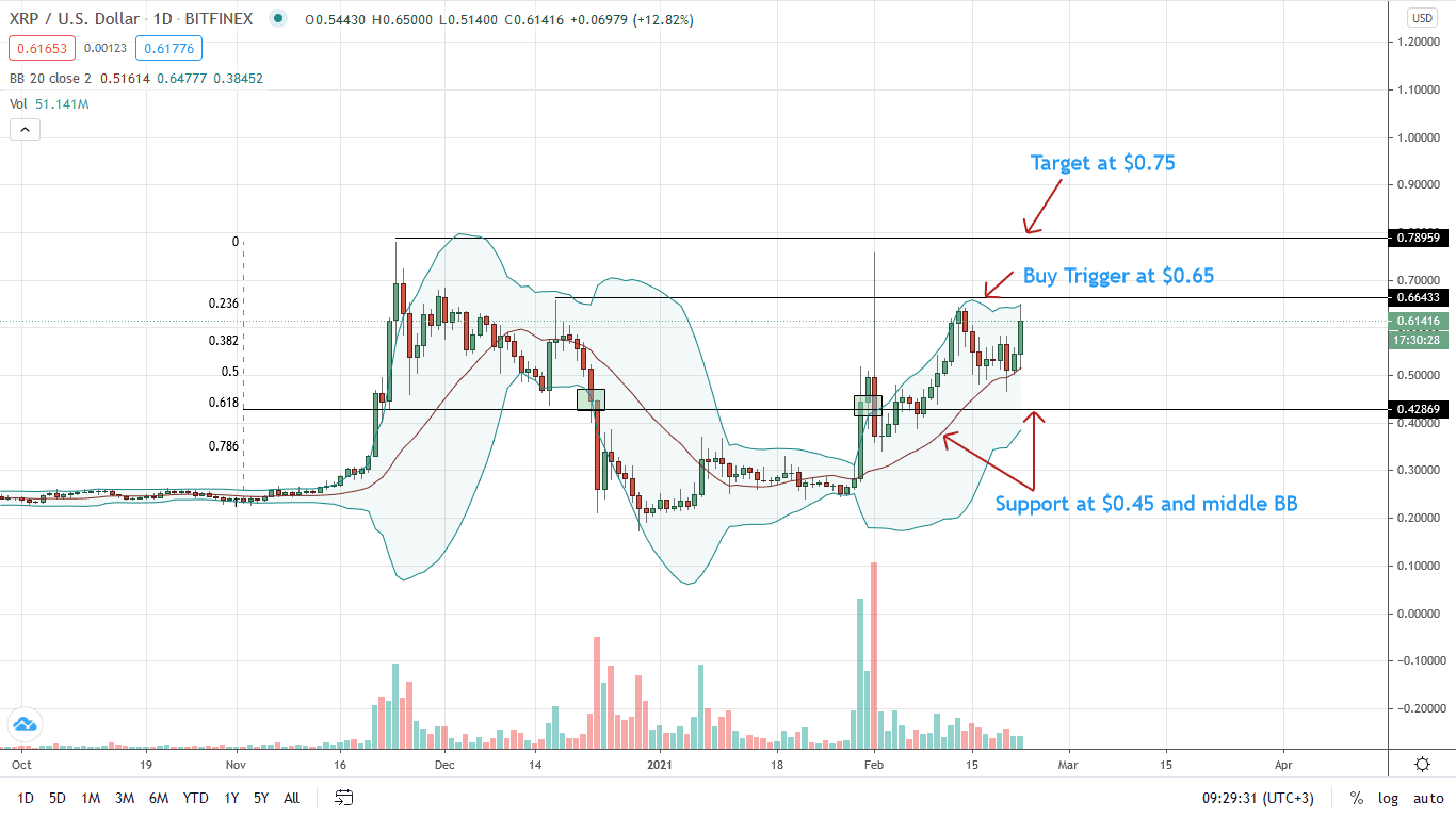 Ripple Daily Price Chart for Feb 22