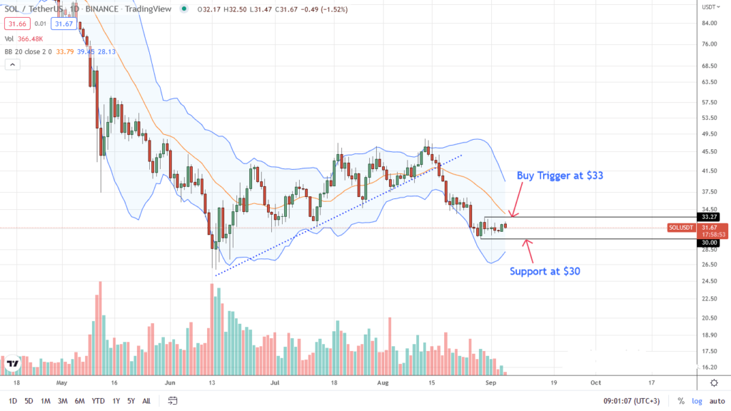 Solana's Flashes of Strength, can SOL Bulls Break Above $33?