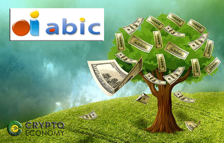 Abic loans