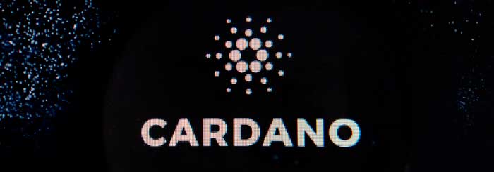 ada cardano fundation