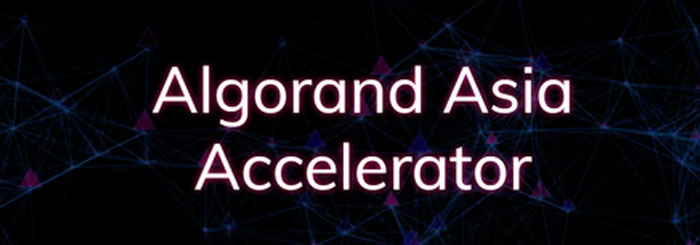 algorand-asia-accelerator