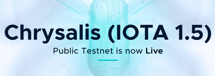 chrysalis-iota