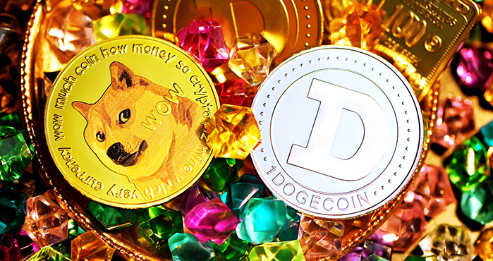 Dogecoin (DOGE) Price Prediction 2022-2025 – Will Elon Musk Continue Supporting DOGE?