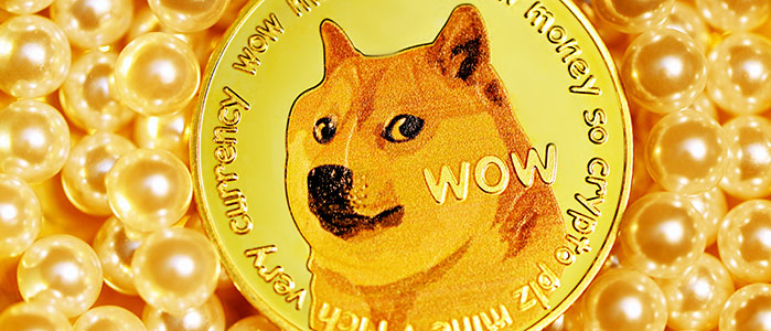 dogecoin DOGE