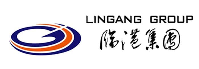 lingang group vechain asociation