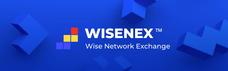 wise network exchange