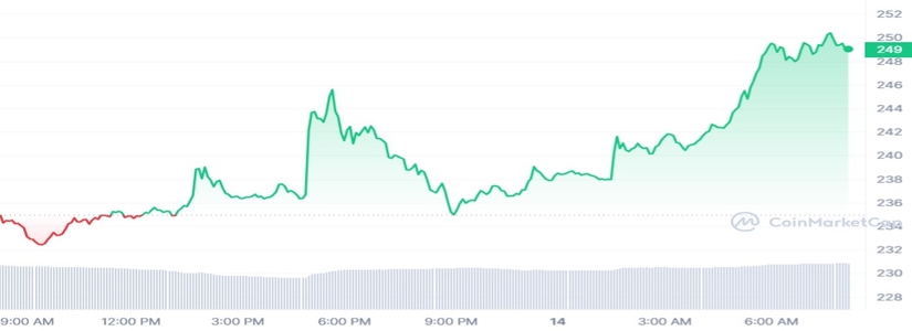 BNB lidera el mercado y no para de subir