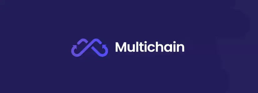 Multichain Halts Services for Affected Chains as CEO Goes Missing