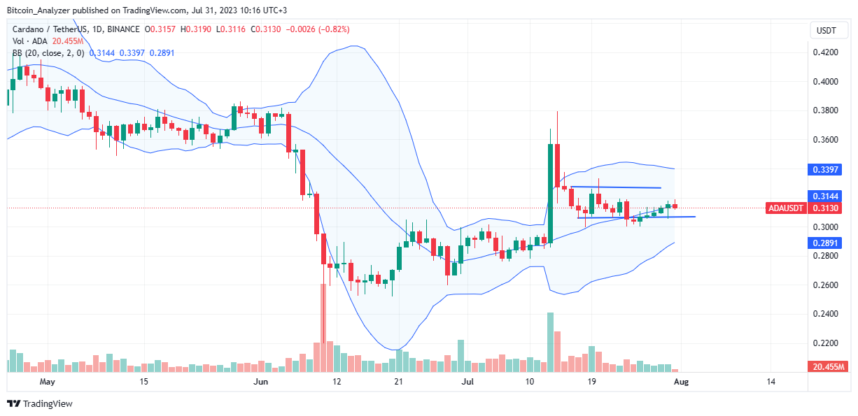 ADA price analysis for July 31 | Source: ADA/USDT on Binance, TradingView