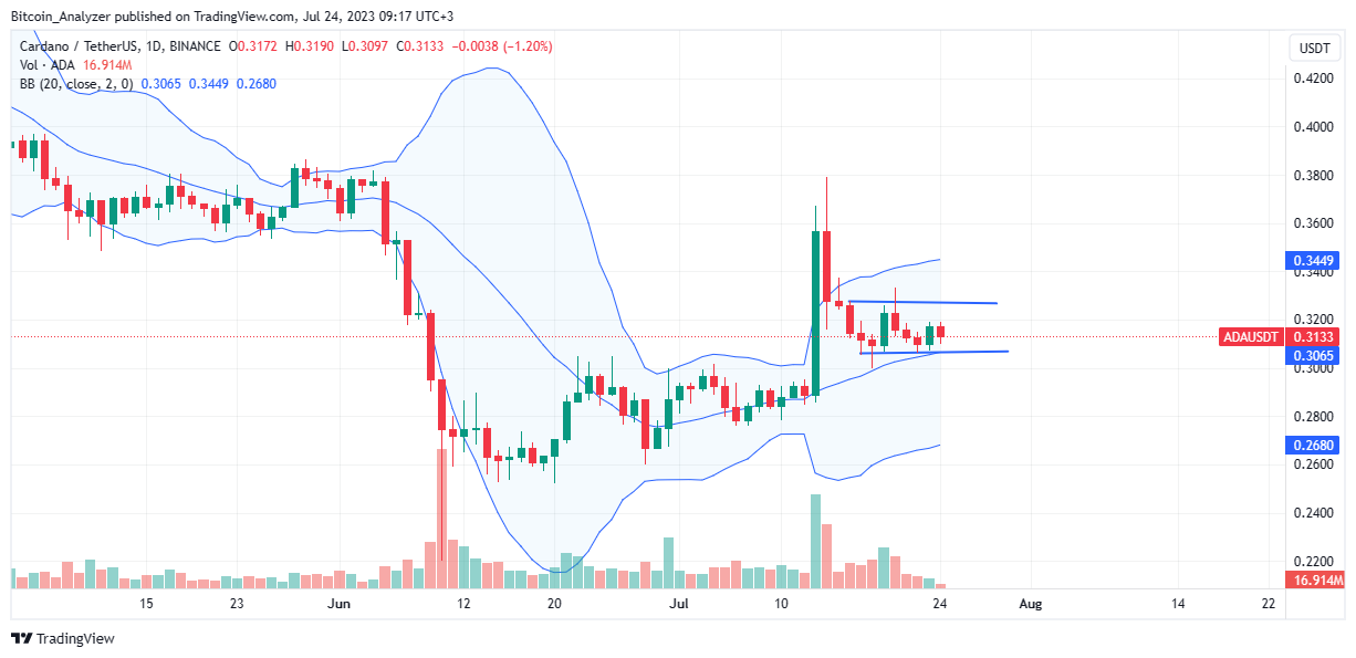 Precio de Cardano el 24 de julio | Fuente: ADA/USDT en Binance, Tradingview