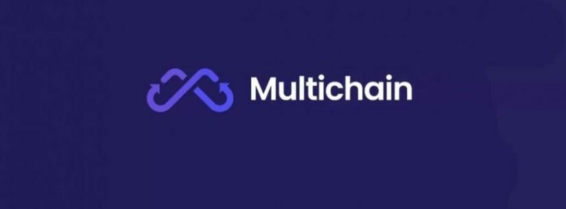 Why did Multichain Halt Operations?