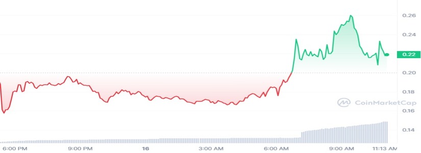 The SEI Token Rises High